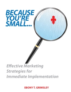 Because You're Small: Effective Marketing Strategies for Immediate Implementation. 2012